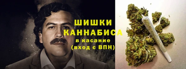 мескалин Богданович