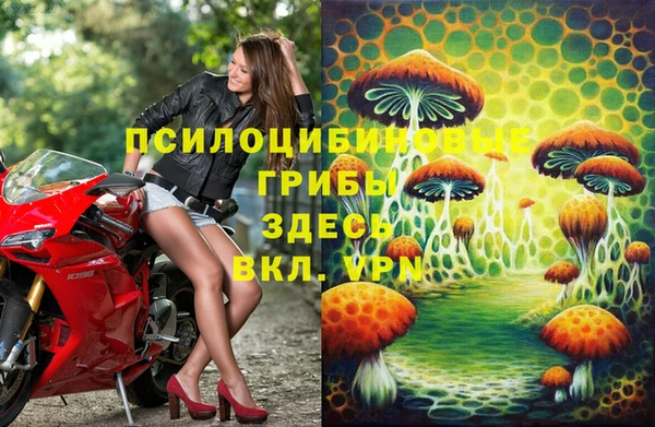 мескалин Богданович