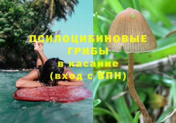 мескалин Богданович