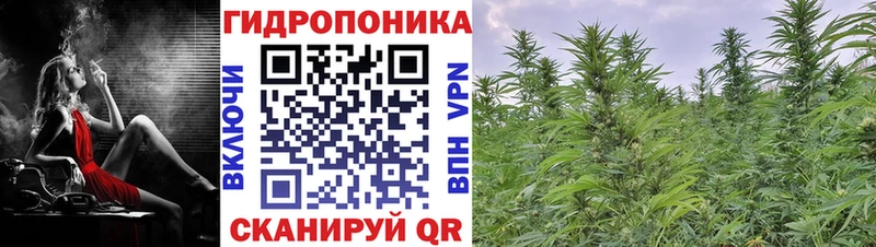 наркотики  blacksprut ССЫЛКА  Бошки марихуана White Widow  Красноармейск 